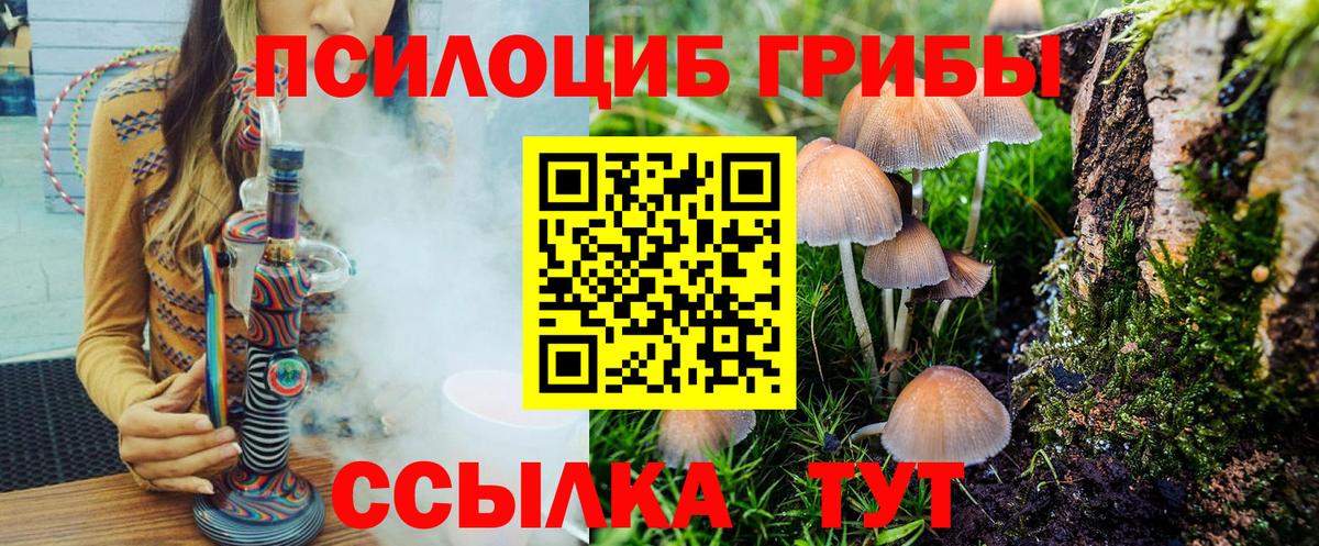 Воскресенск  Галлюциногенные грибы Psilocybe  Вход с VPN 