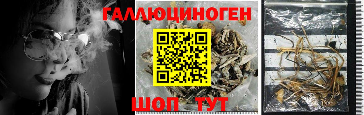Галлюциногенные грибы MAGIC MUSHROOMS Воскресенск